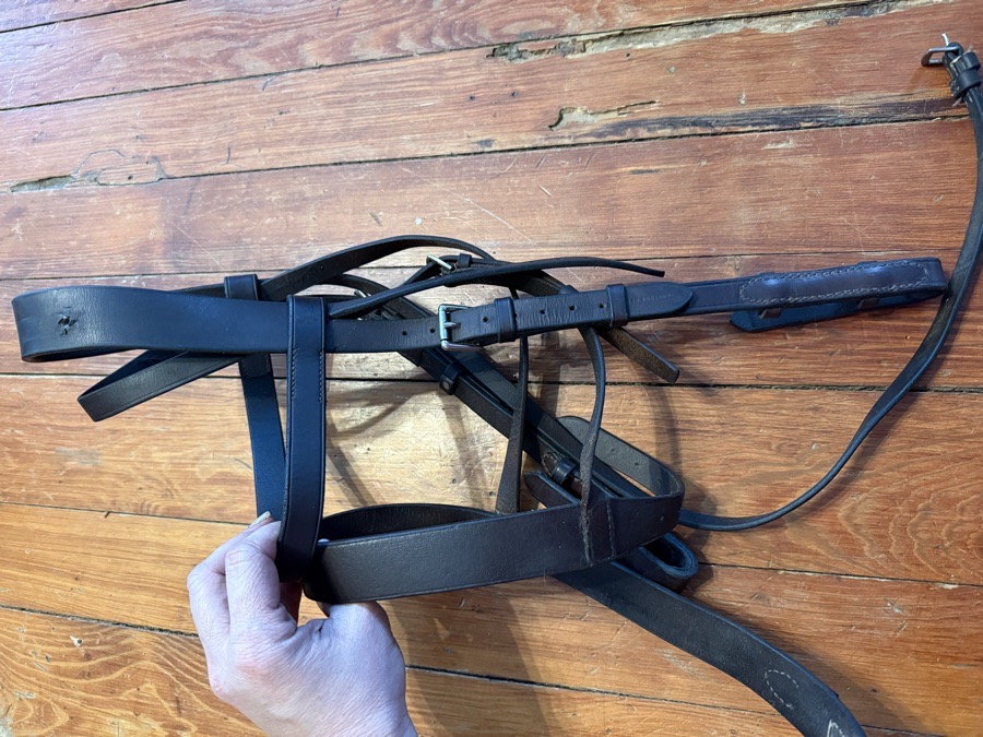 Large horse flat hunt bridle