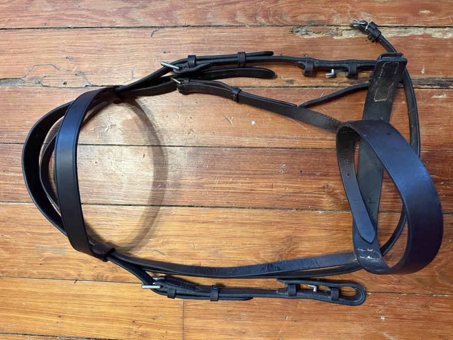 Large horse flat hunt bridle