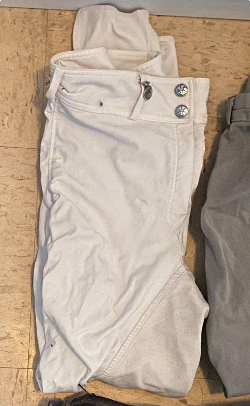 Pikeur Full Seat Breeches