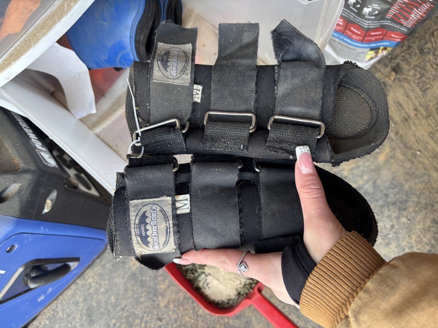 Weatherbeeta Brushing Boots M