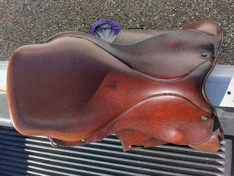 17" M Crosby Equilibrium Jump Saddle