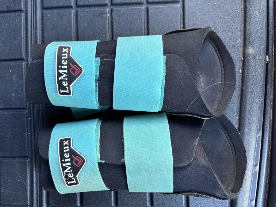 Lemieux azure brushing boots M