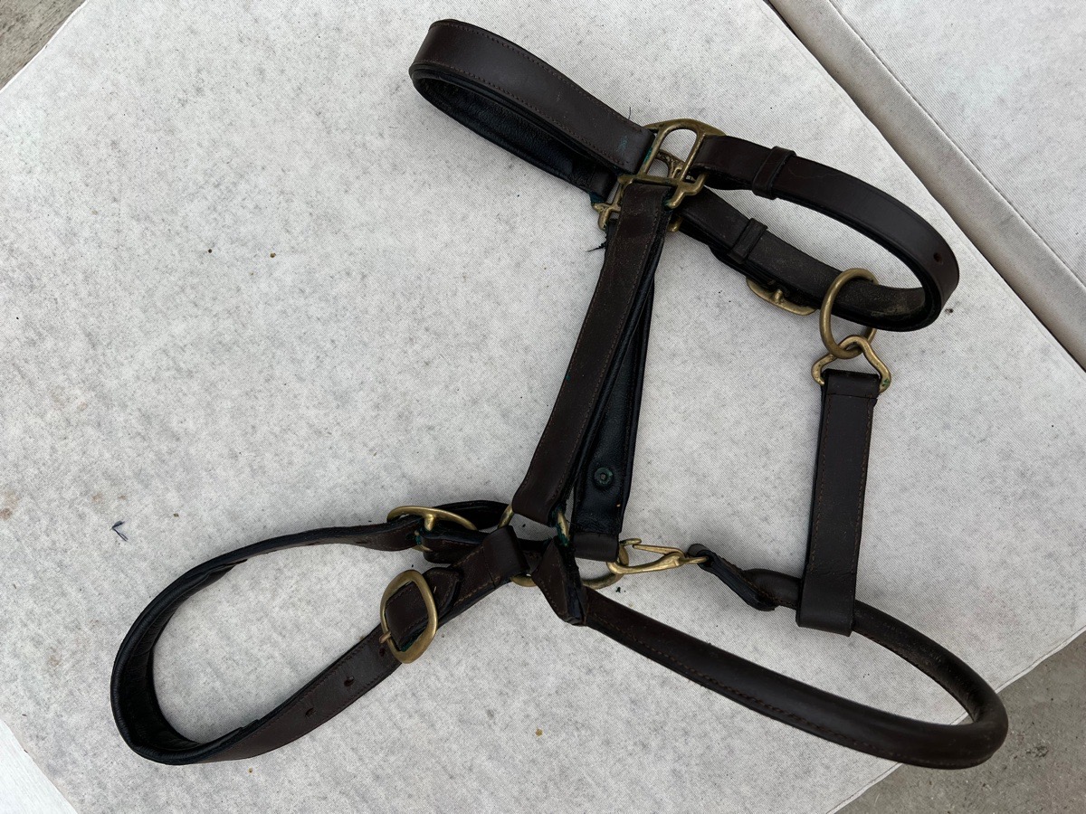 Dark Brown Padded Full Size Halter