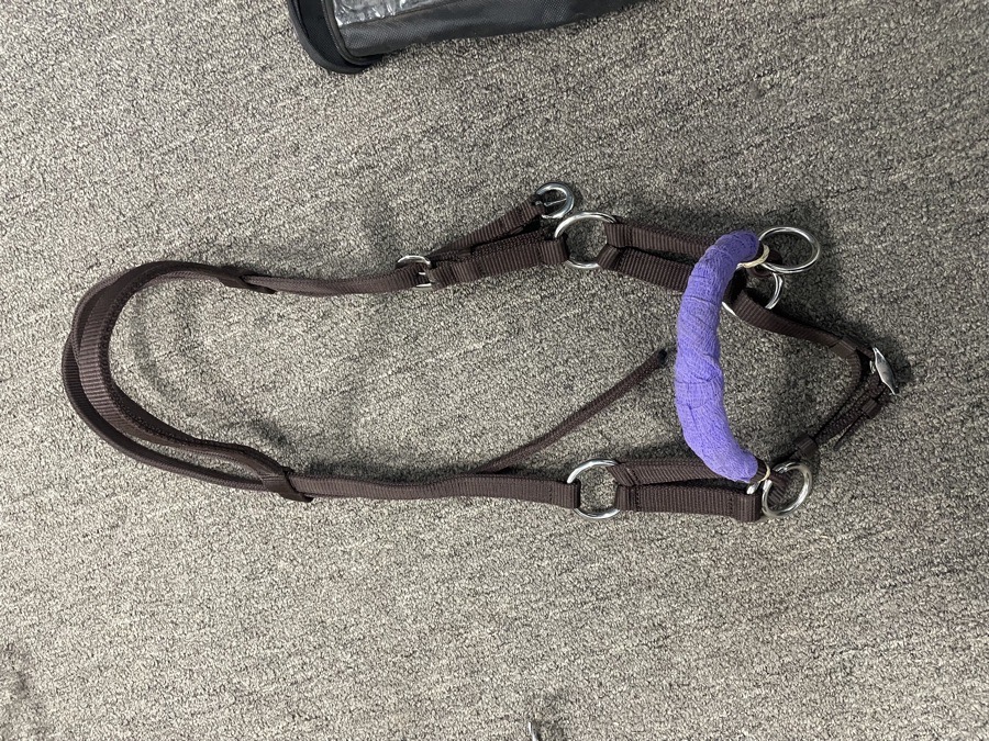 Nylon bitless bridle
