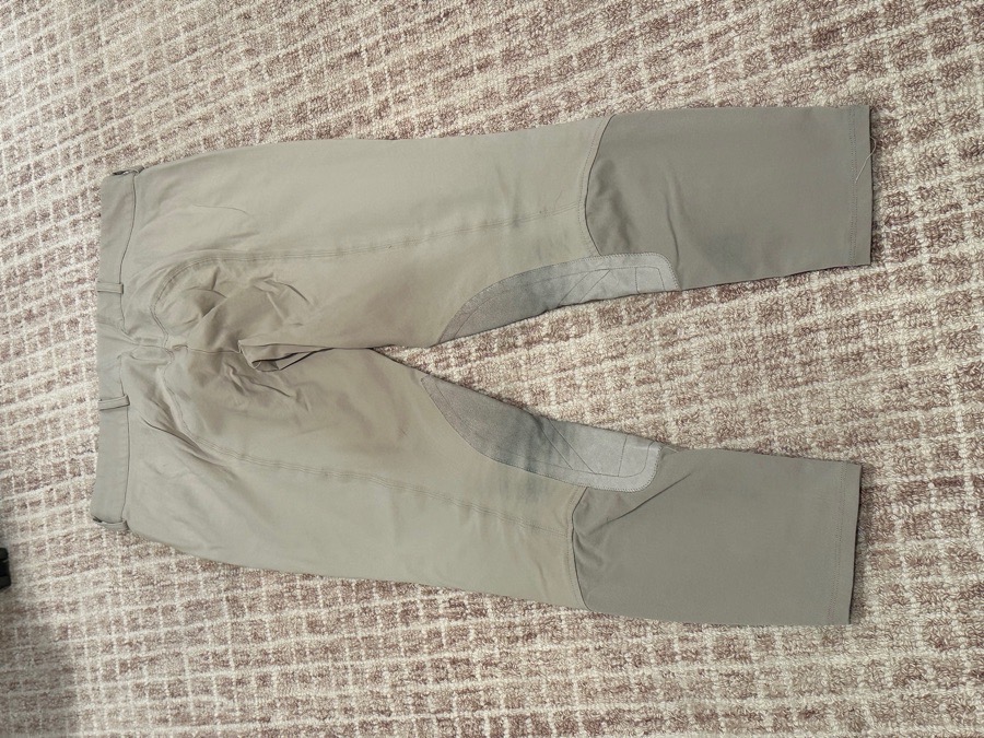 Ariat Olympia breeches