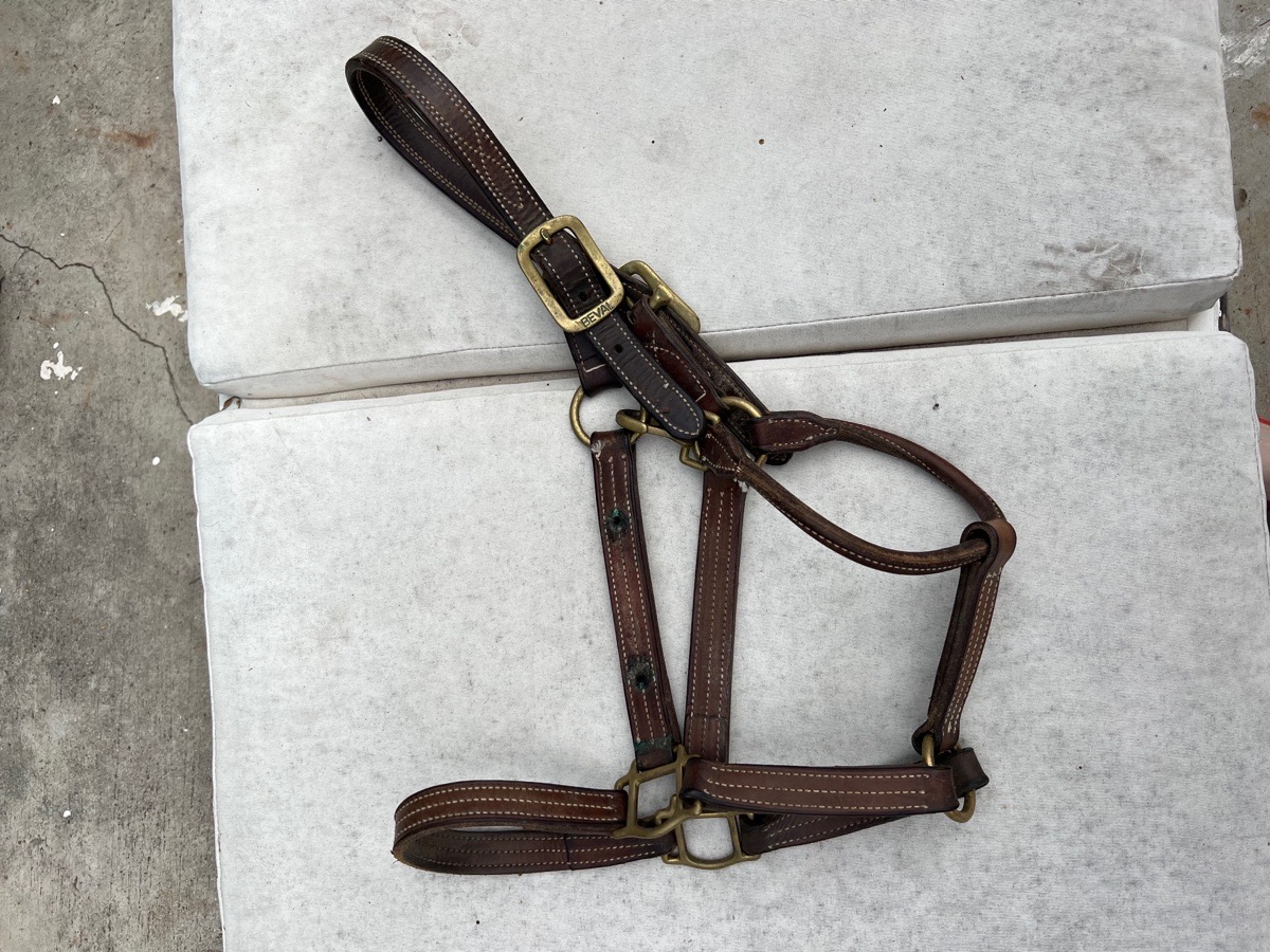 Beval Triple Stitch Horse Halter