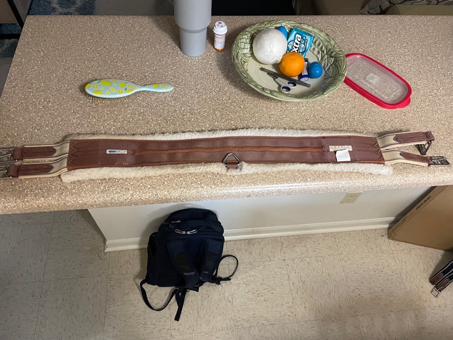 Letitia girth, size 42