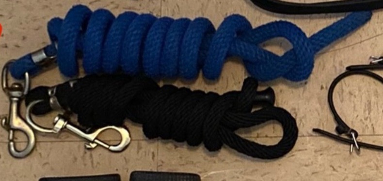 Blue Lead Rope