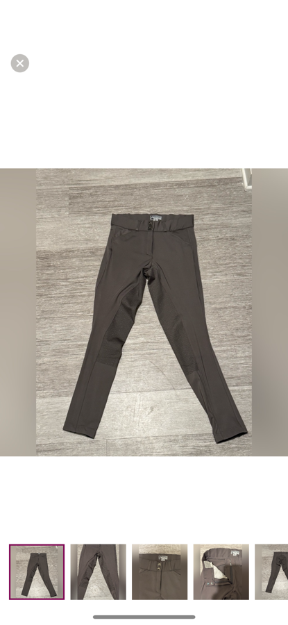 Riding Sport gray full seat breeches