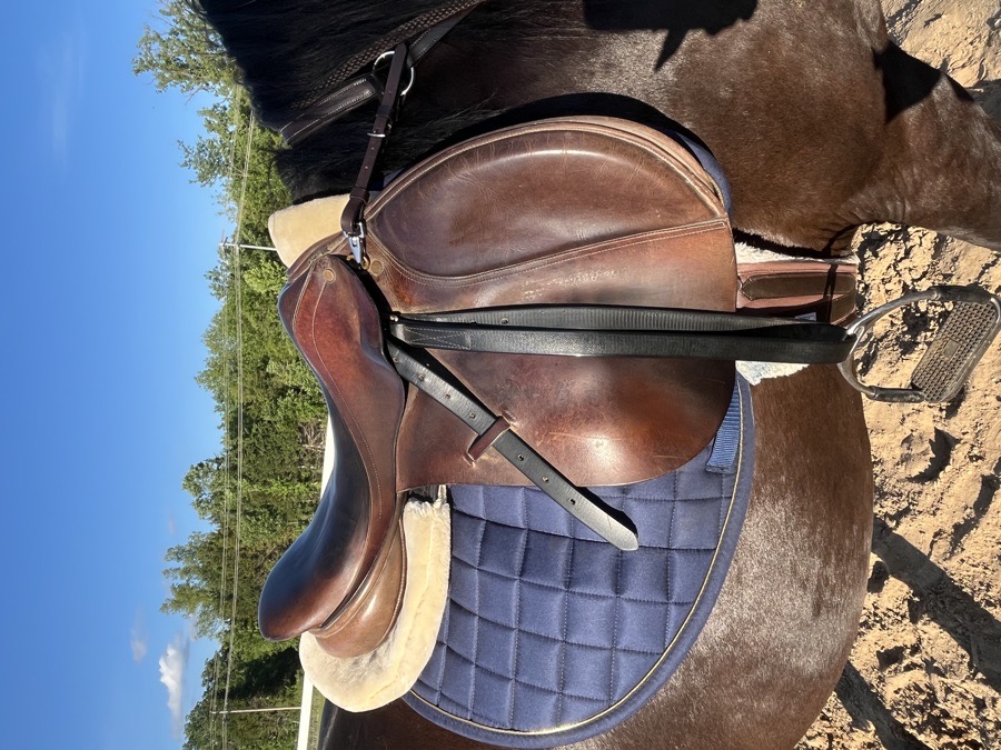 Cliff Barnsby saddle