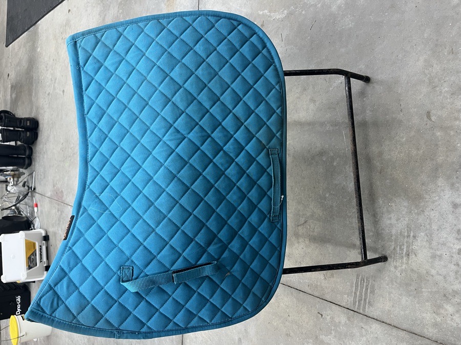 All purpose English saddle pad