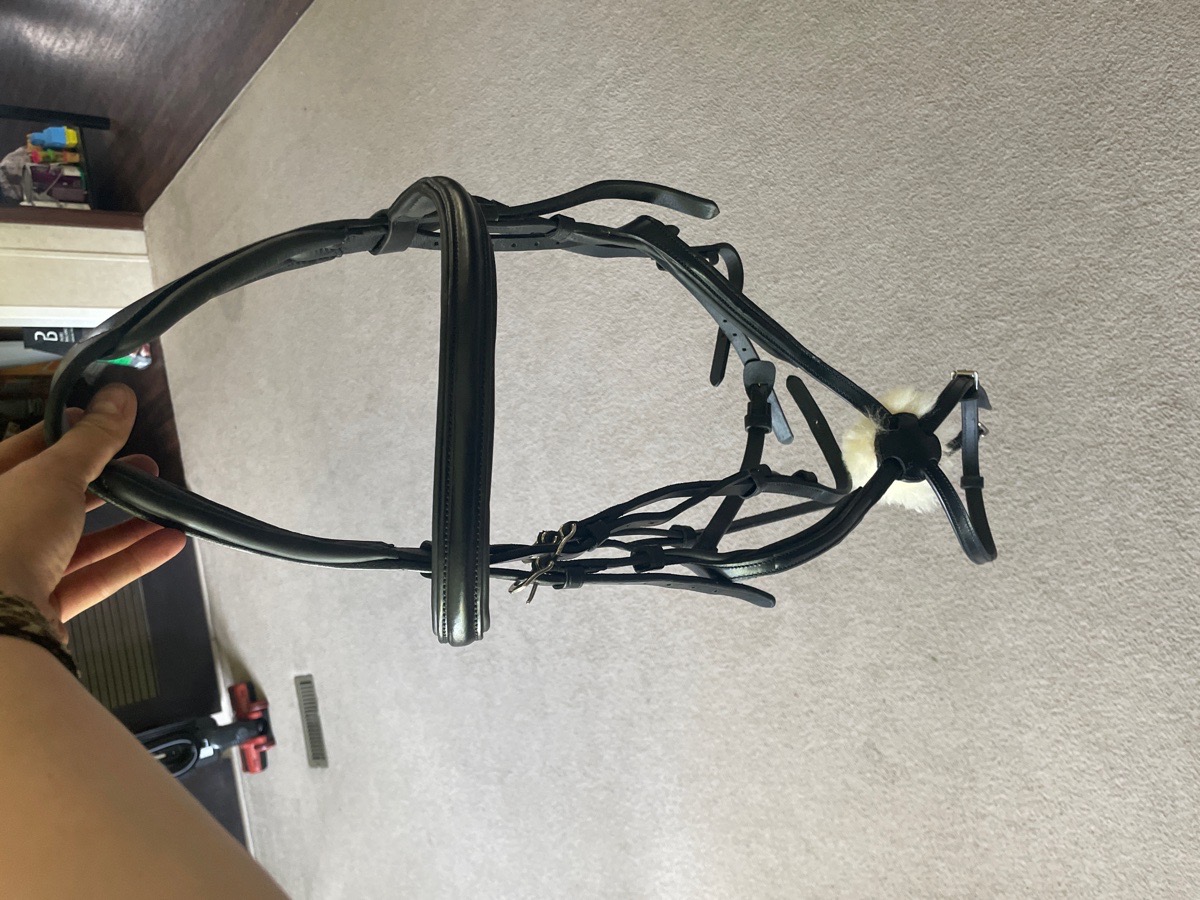 Shires Velociti Figure 8 Headstall No Reins or Bit