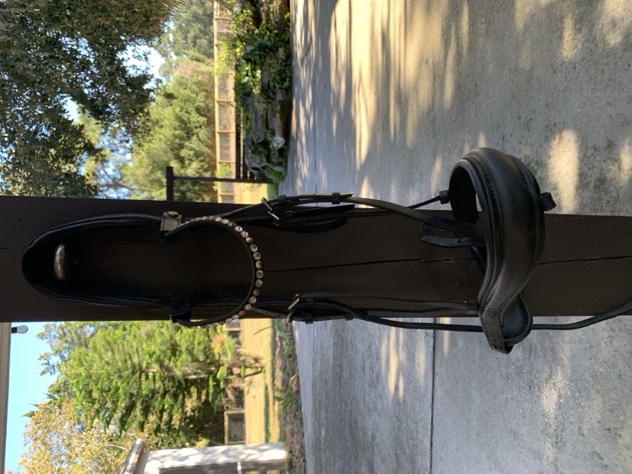 Stübben Switch MagicTack Bridle