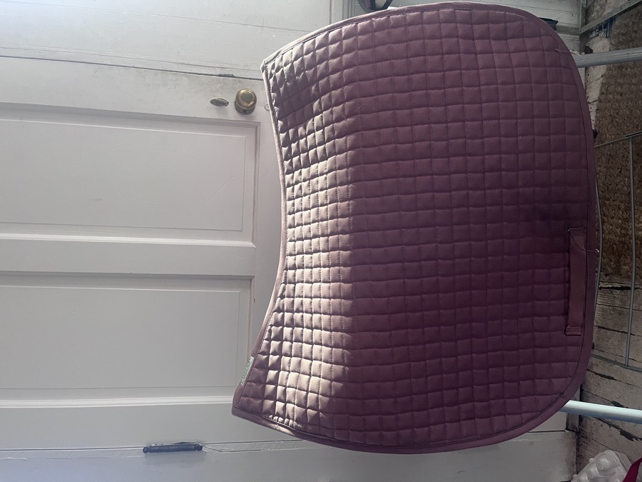 Dover Dressage pad