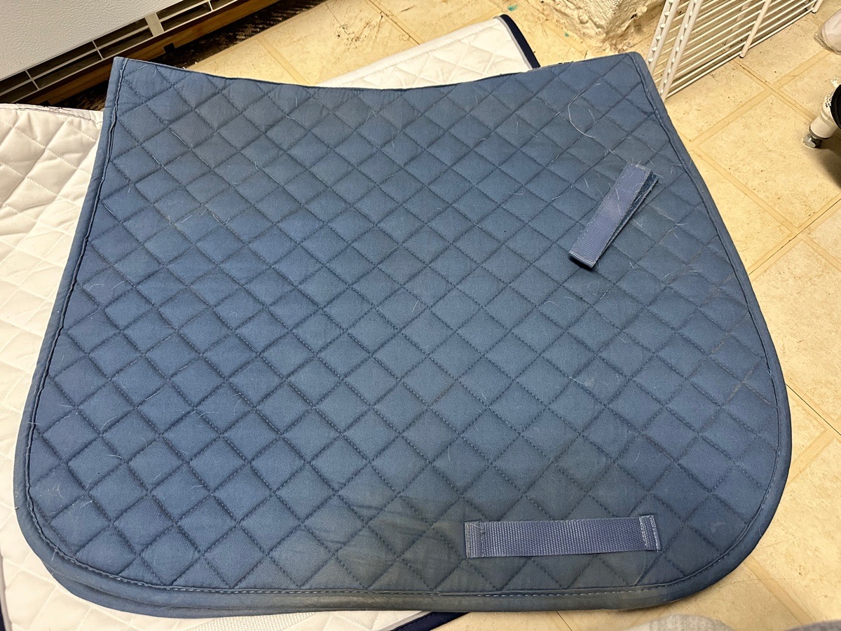 Dressage Saddle pads