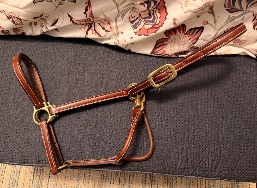 Walsh Showman Halter