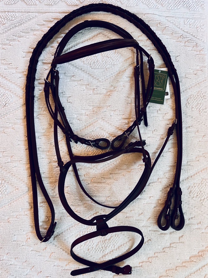 Elite Raised Padded Bridle w/Convertible Flash — Warmblood