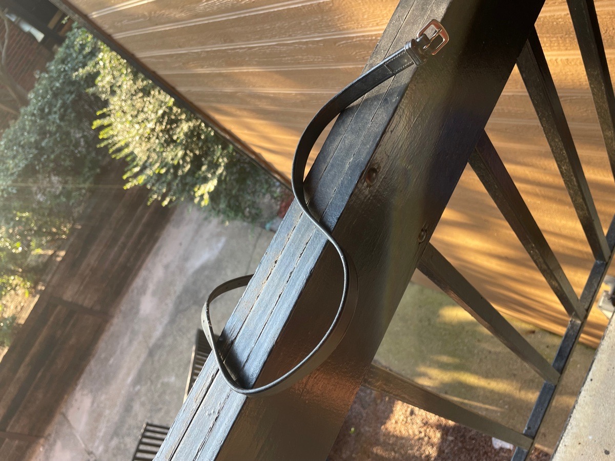 NEW Dressage Flash Noseband