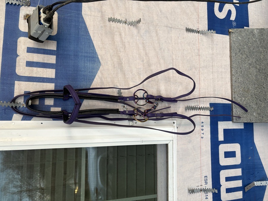 Horse Size Purple Leather Padded Headstall, Loop Ring Snaffle and Split Reins