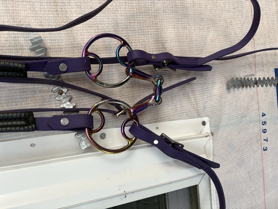 Horse Size Purple Leather Padded Headstall, Loop Ring Snaffle and Split Reins