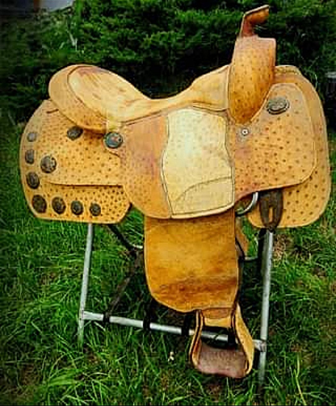 Brian Lemmons Custom Saddle 17inch