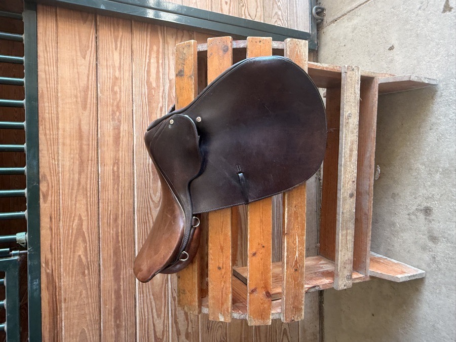 Courbette jump saddle