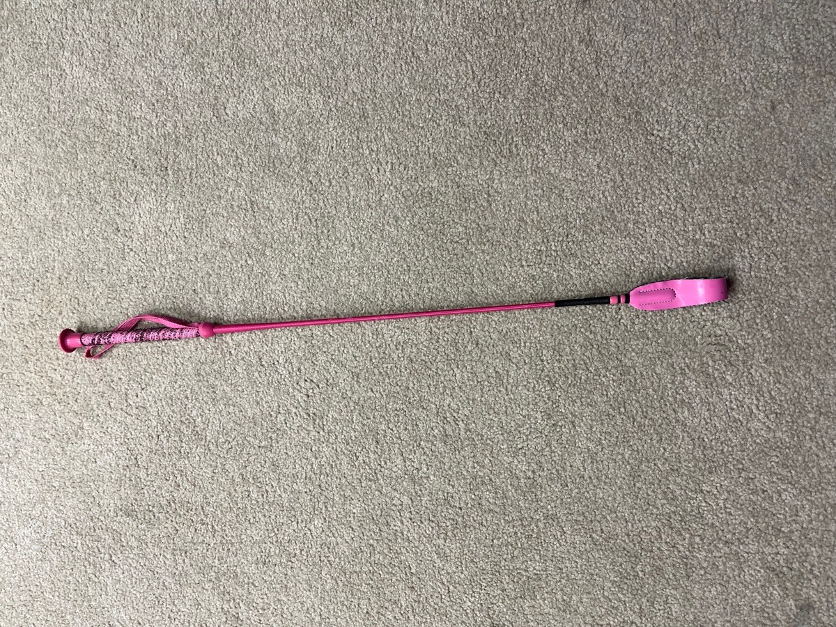 Pink Crop / whip