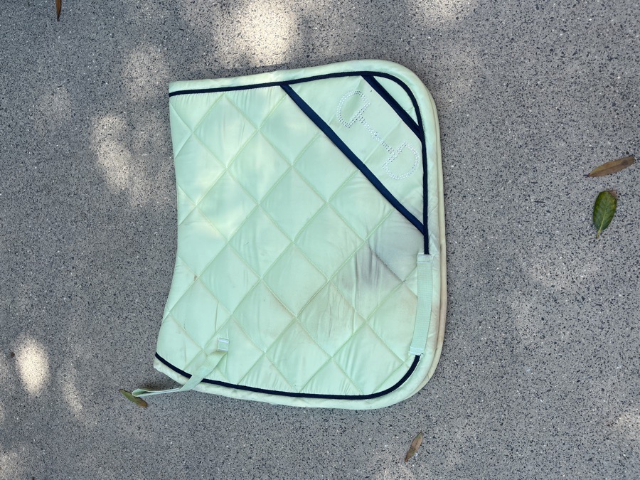 Dressage Saddle Pad