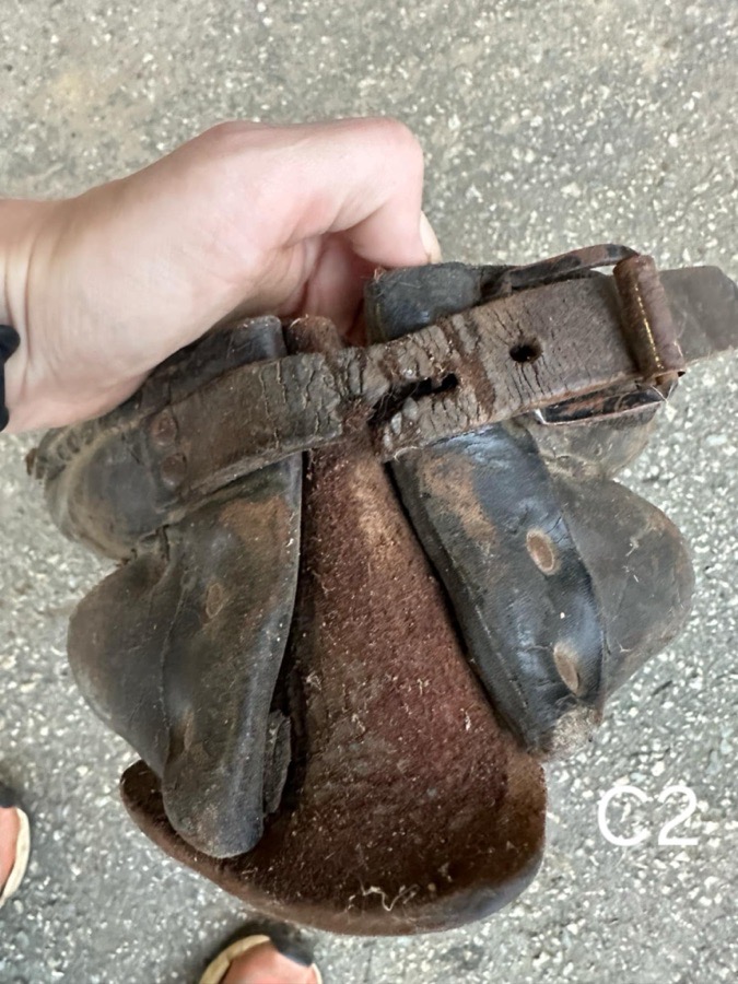 Mini/Pony Driving Collars