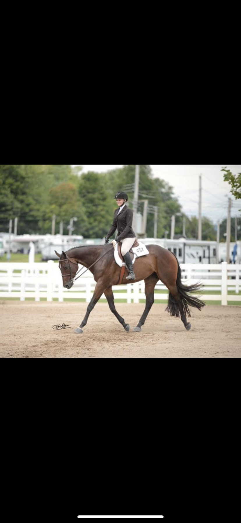 Dura-Tech® E-Z View® Wither Relief Pin-On Style Hunter Saddle Pad