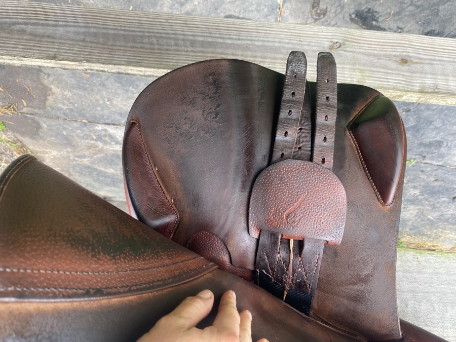 17" Antares Comfort 2 Saddle - 2019 - 2A Flaps - 4.75" dot to dot × 1