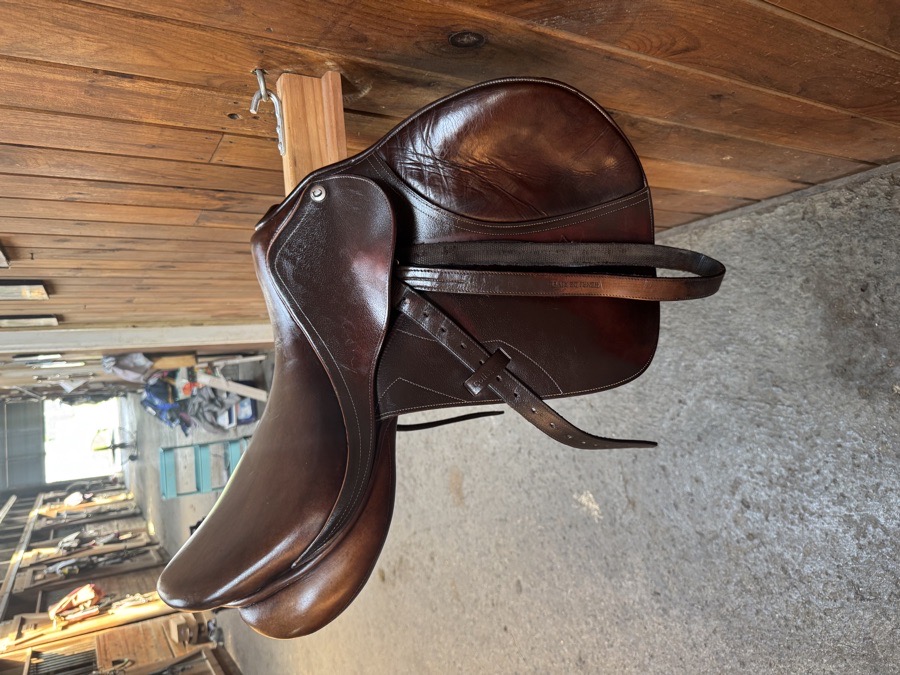 17” Collegiate Saddle