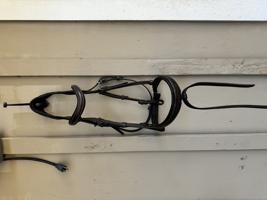 Passier No Limits Bridle