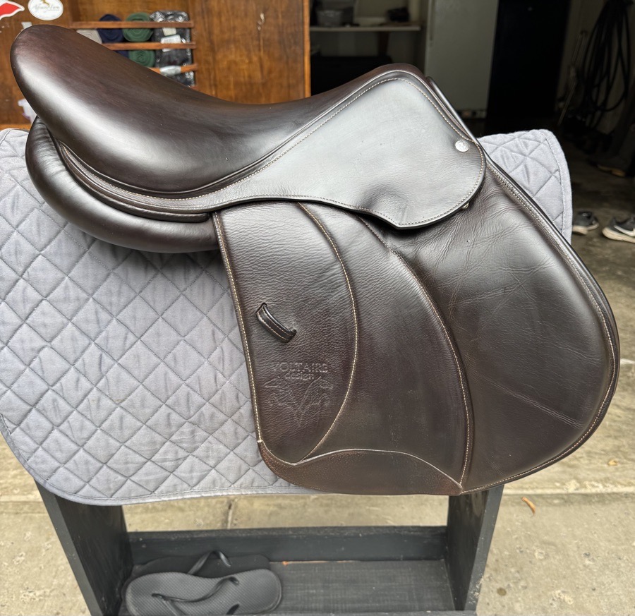 2021 Voltaire Palm Beach 17”