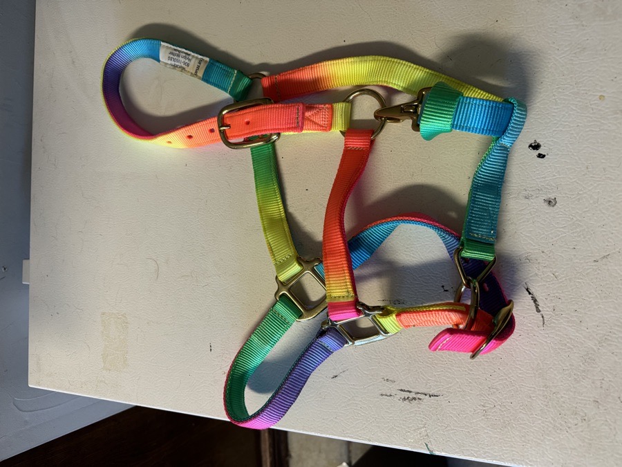 Nylon horse sized halter
