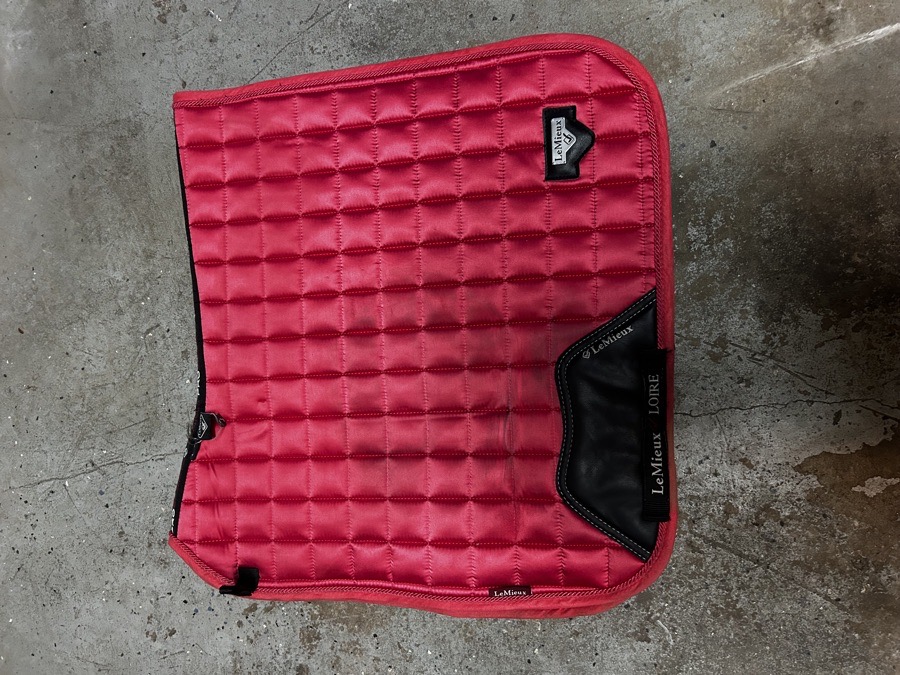 Loire Classic Dressage Square Papaya