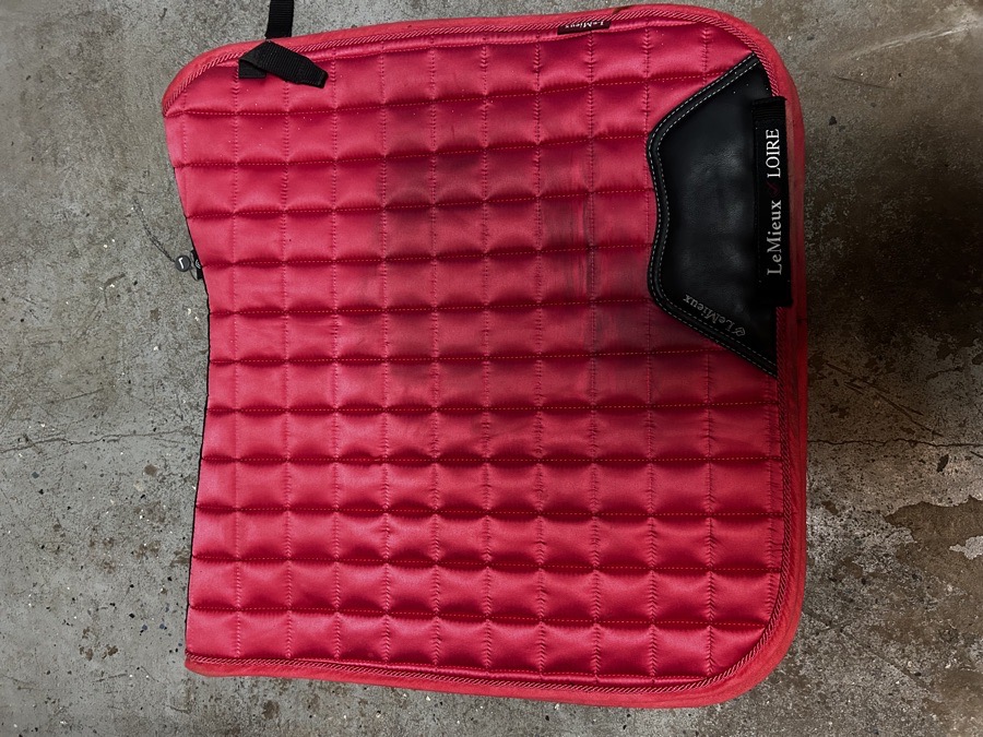 Loire Classic Dressage Square Papaya