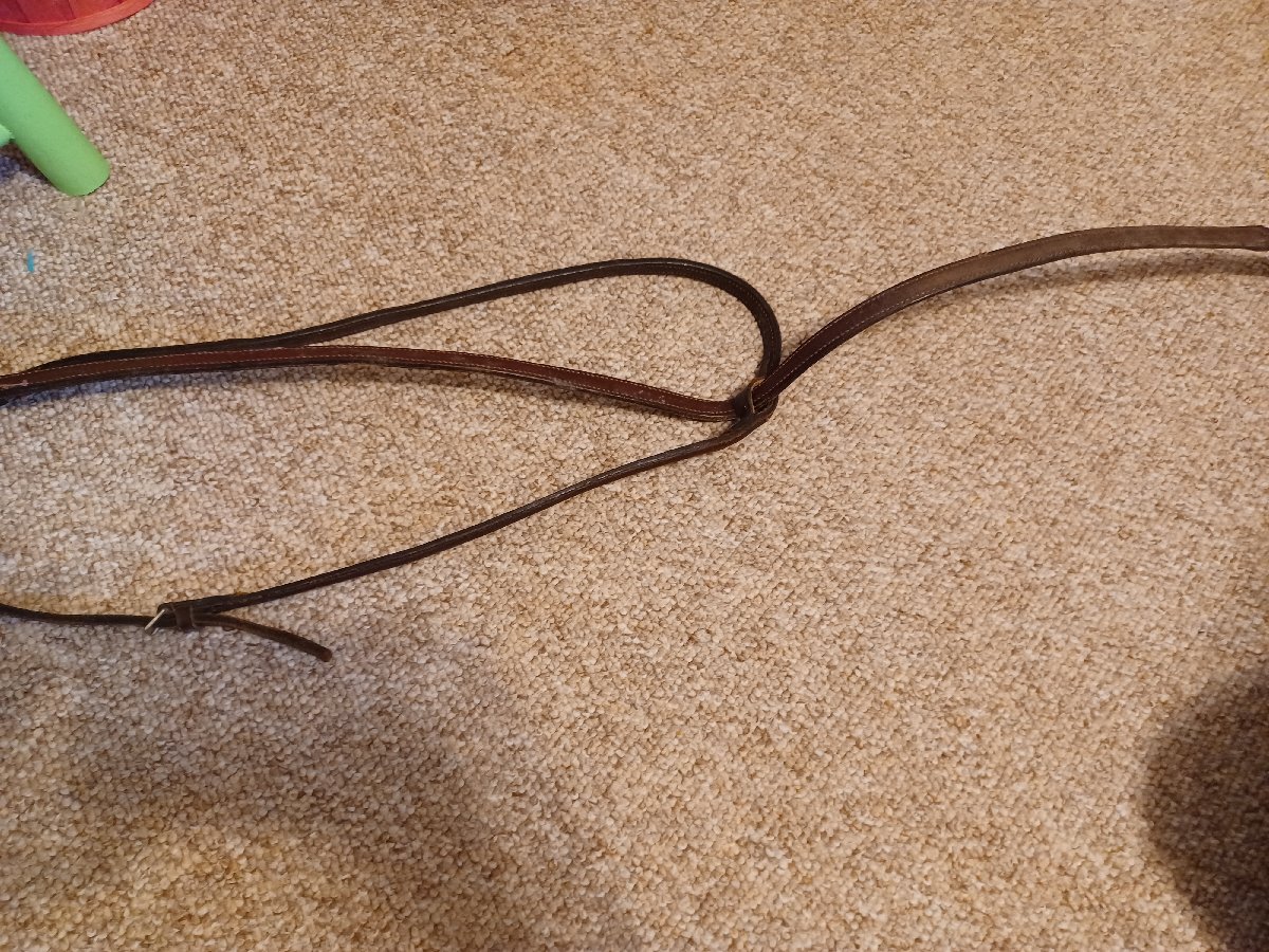 Brown leather martingale