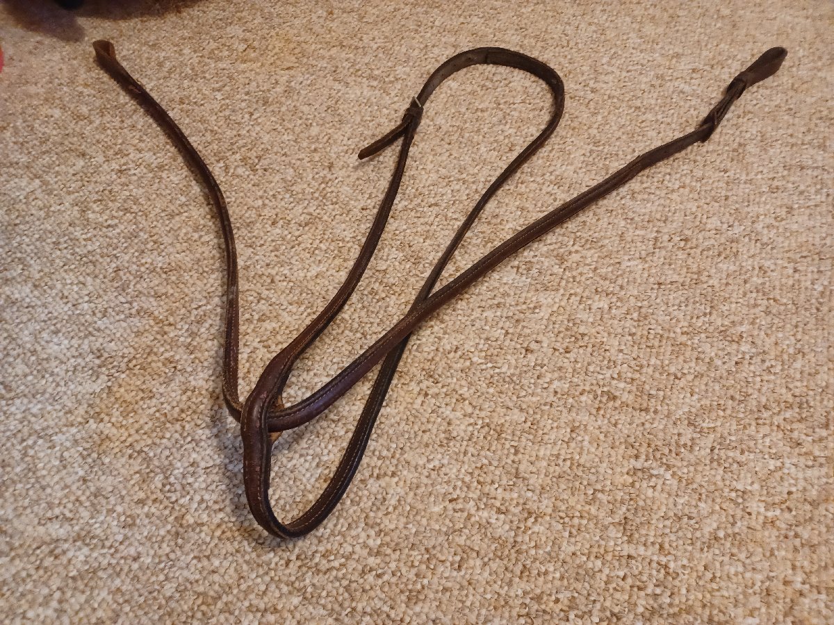 Brown leather martingale