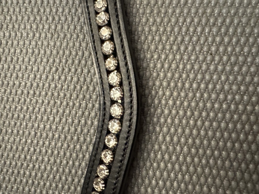 Harwich Curved Crystal Browband