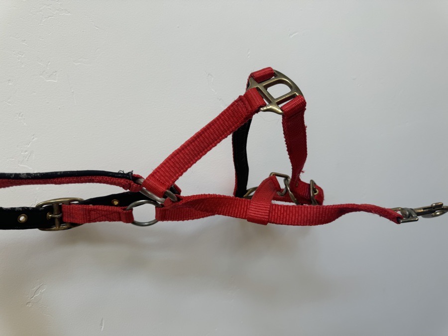 Red Halter