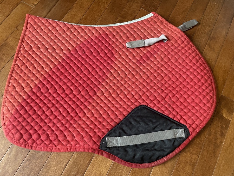 Red saddle pad