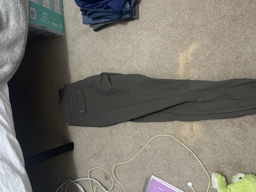 Ariat pro breeches