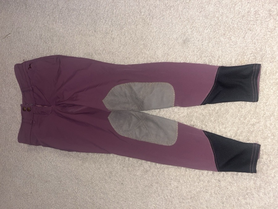 R.J. classic Breeches