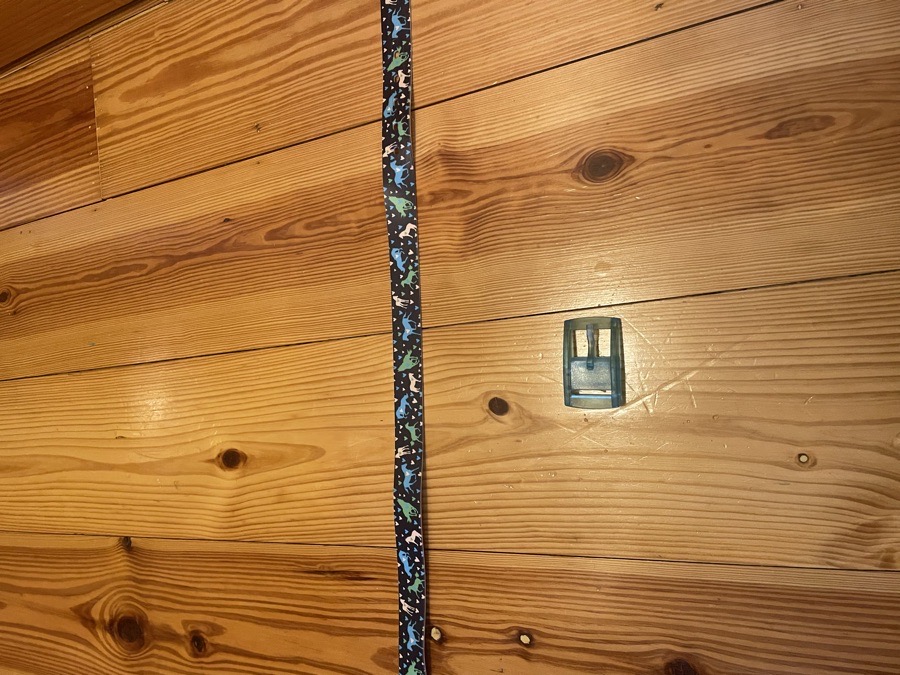 C4 Equestrian Horse Belt