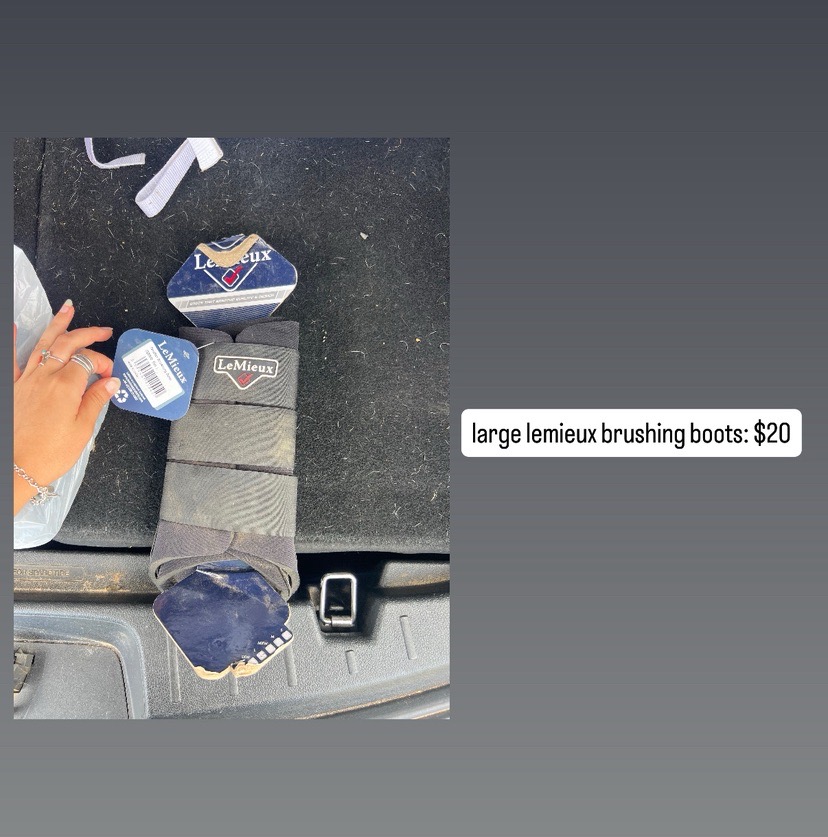 Lemieux brushing boots