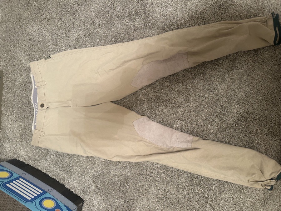 devon aire beige large breeches!