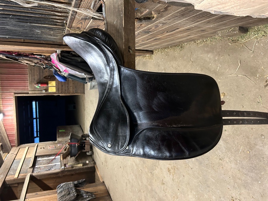 Dressage saddle