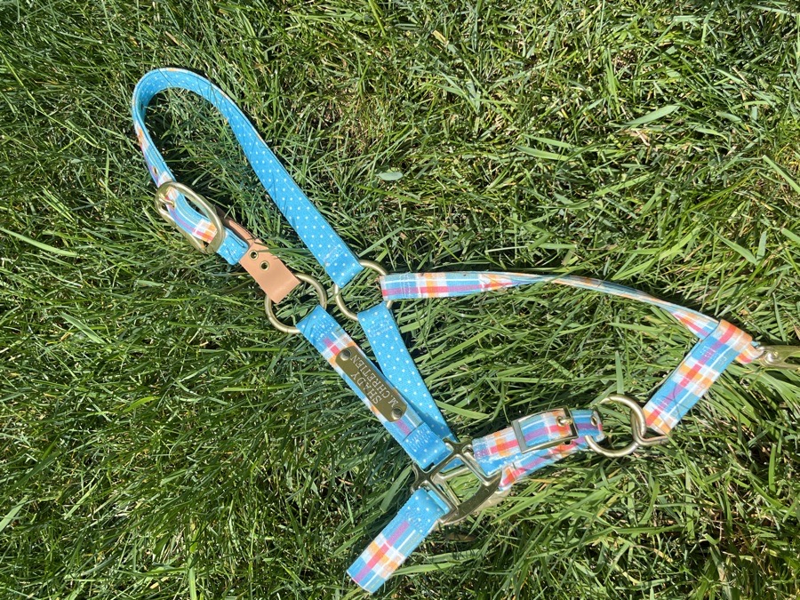 *Never used* cute pony halter