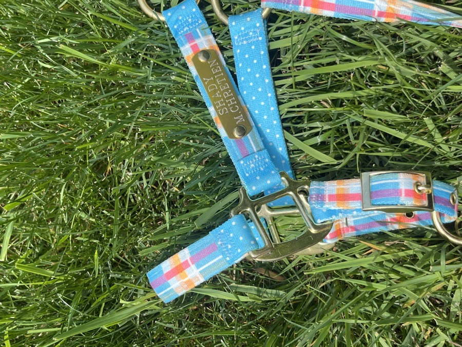 *Never used* cute pony halter